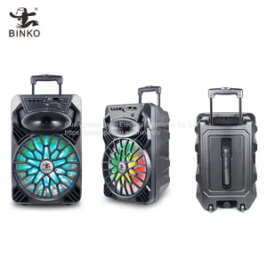 Privated Moulded Portable Trolley Speaker 12'' BK-129 thumbnail-4