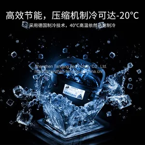 2021 New Dual Temperature Zone Independent Refrigeration Can Reach Minus 20 Degrees 35L Wholesale OEM Compressor Car Refrigerator thumbnail-4