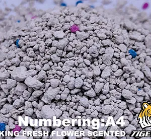 Dalian Songsen Products Co., Ltd. company overview - view 2 thumbnail