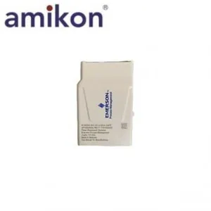 EMERSON 12P4629X042 | KL3022X1-BA1 Aanalog thumbnail-1