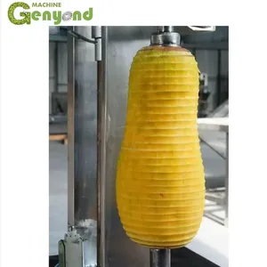 Genyond Pumpkin Peeler Peeling Machine thumbnail-4
