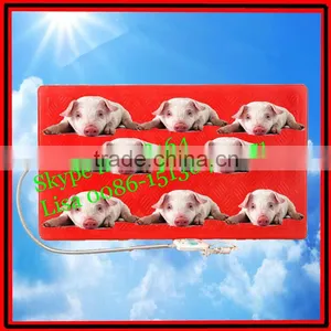Piglet Heating Plate 550*1000mm thumbnail-1