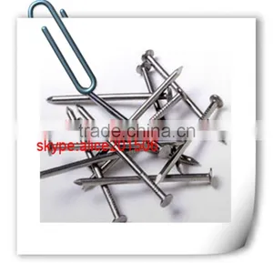 High Quality Low Price Factory Produce Common Iron Nail Smooth Shank/ Supplier Common Iron Nail thumbnail-1