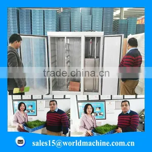 WHIR Export to Saudi Arabia Low Cost Greenhouse for Growing Fodder Barley Grass thumbnail-4