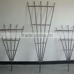 Bamboo Trellis Sun-003 thumbnail-1