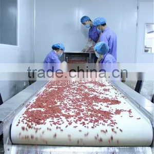 Goji Fruit From China Factory thumbnail-1