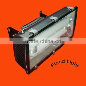 High Efficiency Outdoor Induction Flood Light thumbnail-1