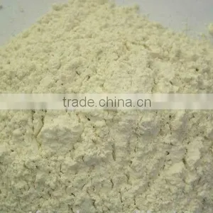 Dehydrated Onion Powder(2013) thumbnail-1