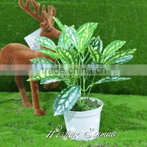 Selling Table Decoration Plastic Grass Bonsai in High Quality thumbnail-1