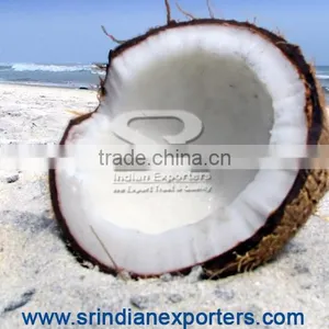 Oraganic Semi Husked Coconuts thumbnail-1