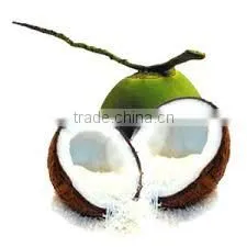 High Quality Vietnam High Fat Medium Desiccated Coconut thumbnail-5