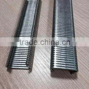 15Ga SR15 D Ring Staples thumbnail-1