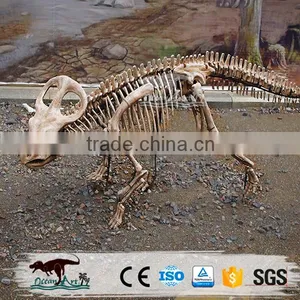 OA4082 High Quality Fossils Dinosaur thumbnail-3