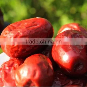 Big Size Dried Jujube Fruit thumbnail-6