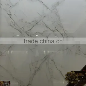 Full Polish Floor Tile thumbnail-6