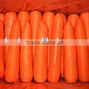 Carrots Agricultural Crops of China thumbnail-2
