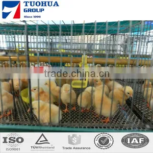 A Type Chicken Cage,layer Poultry Cages for Kenya Farms thumbnail-1