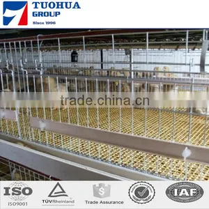 A Type Cages for Broiler Chicken thumbnail-4