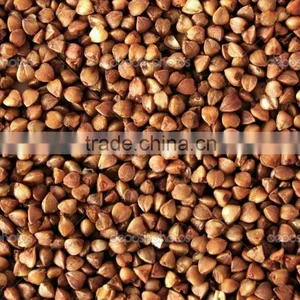 BUCKWHEAT KERNELS thumbnail-2