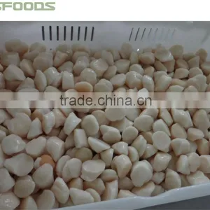 Frozen IQF Scallop thumbnail-1