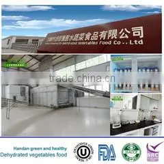 Handan Green And Healthy Dehydrated Vegetables Food Co., Ltd. company overview - view 1 thumbnail