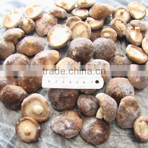 IQF Shiitake Whole thumbnail-1
