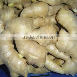China Mature Ginger thumbnail-4