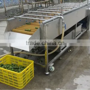 Hp-360 Full Automatic Soft Spray Vegetable And Fruit Cleaner Washing Machine thumbnail-4
