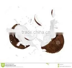 Coconut Cream-With Additives thumbnail-1