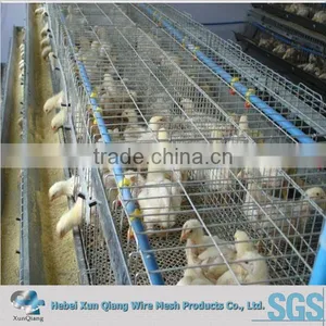 Automatic Broiler Chicken Cage Made in China thumbnail-1