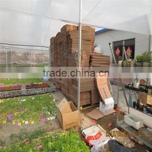 Glass Automatic Commercial Greenhouse For Sale thumbnail-2