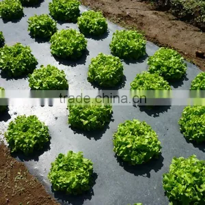 Agricultural Plastic Black Builders Mulch Film thumbnail-1