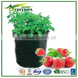 Plant Pot thumbnail-1