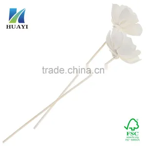 Sola Flower thumbnail-2