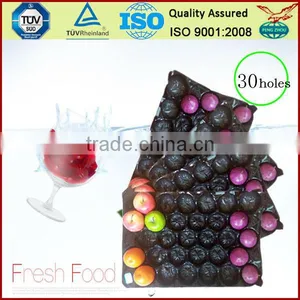 China Professional Manufacturer&Exporter Cheap Food Grade Disposable Soft Thin Plastic Serving PP Fruit Tray thumbnail-5