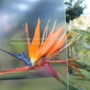 Solar ARC Tempered Glass thumbnail-1