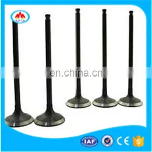 Auto Spare Parts Engine Valve for Mitsubishi Mini Pajero 4a30 Xxr527 thumbnail-3