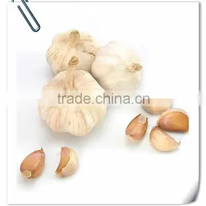 2016 Jinxiang Fresh Garlic thumbnail-2