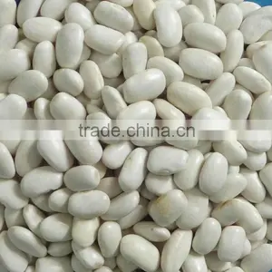 Medium White Kidney Beans, Square Shape thumbnail-1