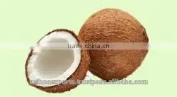Fresh Natural Coconut Supplier thumbnail-6