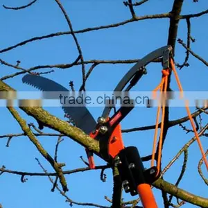 Durable Telescoping Tree Garden Pruner thumbnail-1