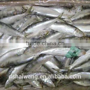 Frozen Sardine Frozen on Land thumbnail-3