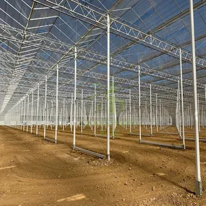Venlo Glass Greenhouse thumbnail-1