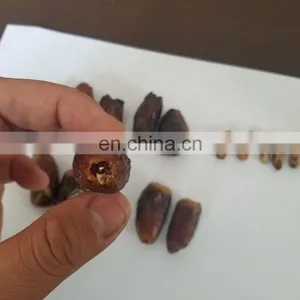 Automatic Dates Pitter Machine/Date Pitting Processing Machine/Date Seed Removing Machine thumbnail-2
