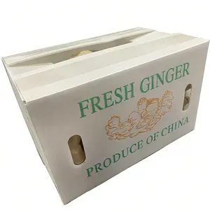 Custom Recycled Corrugated Plastic Boxes for Fresh Ginger and Vegetable Transport thumbnail-2
