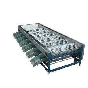 Potato Sorting Machine Fruit and Vegetable Grading Machine3 thumbnail-4