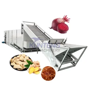 Industrial Vegetable Dryer Beetroot Carrot Drying Machine Onion Ginger Washing Cutting Drying Line EPC thumbnail-1