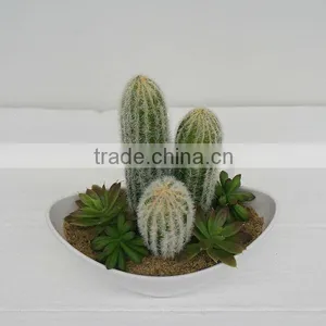 High Quality High Imitation Artificial Cactus Artificial Succulent Mixed Artificial Plants Wholesale thumbnail-1
