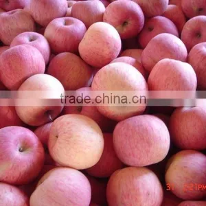 New Season Fresh Fuji Apple thumbnail-1