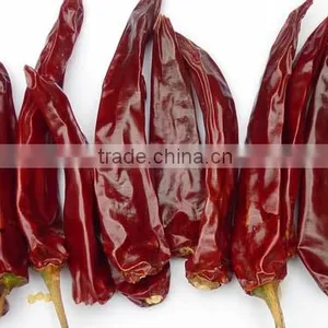 Beijing Red Chilli, Chilli thumbnail-6